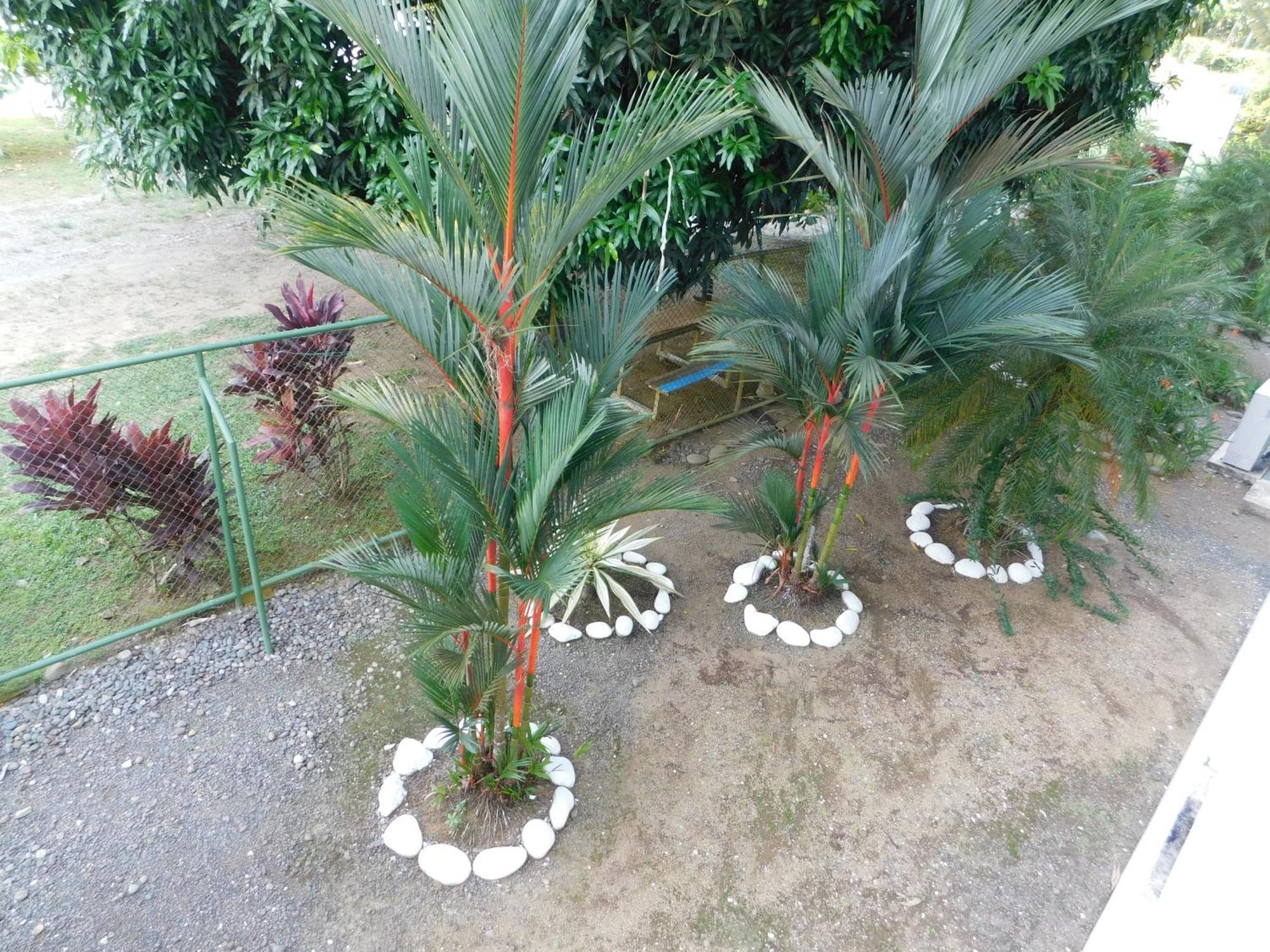 Sunset 205, Sleeps Six, Next Door To The Pool, 100M To The Beach! 哈科 外观 照片