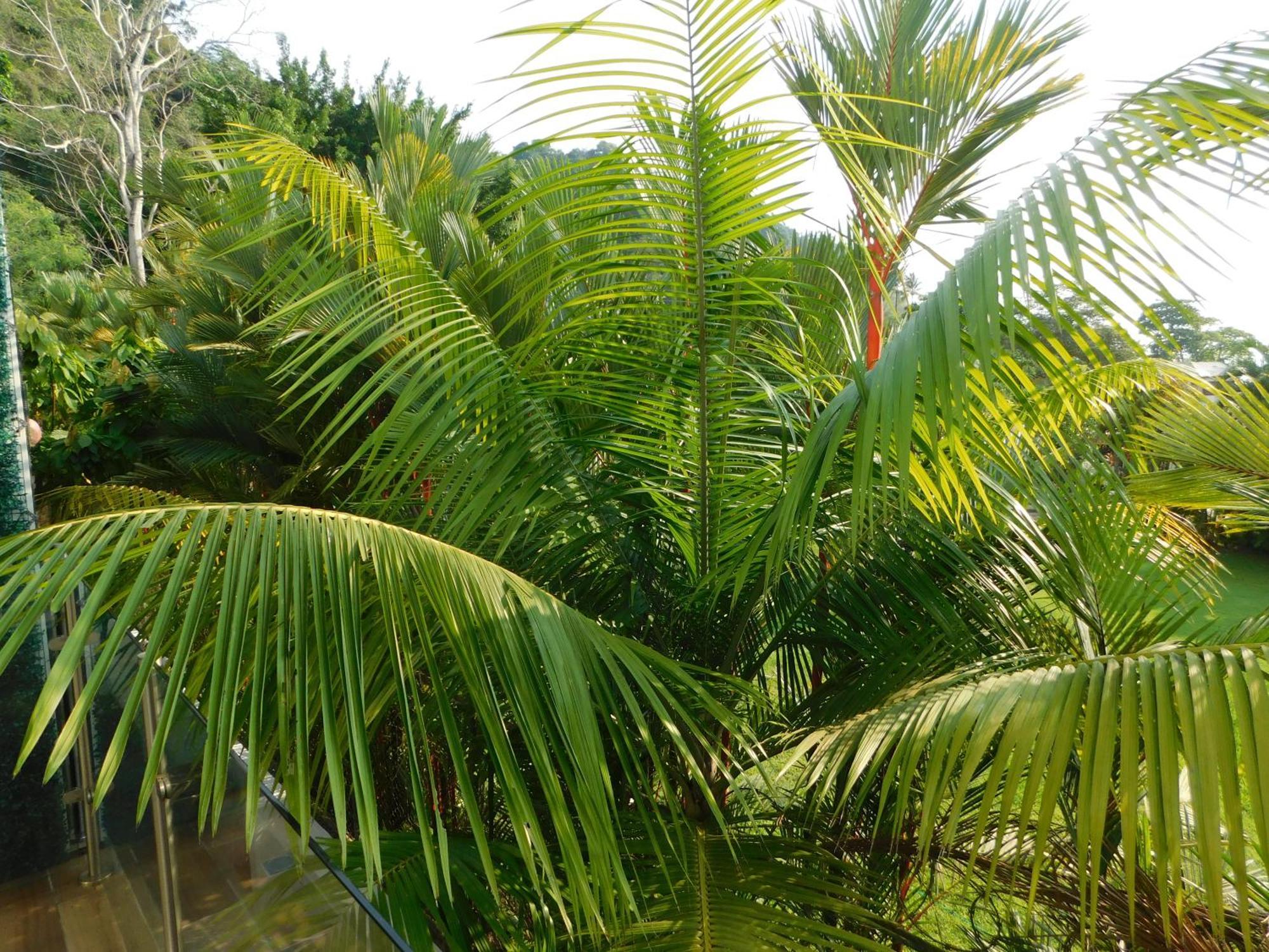 Sunset 205, Sleeps Six, Next Door To The Pool, 100M To The Beach! 哈科 外观 照片