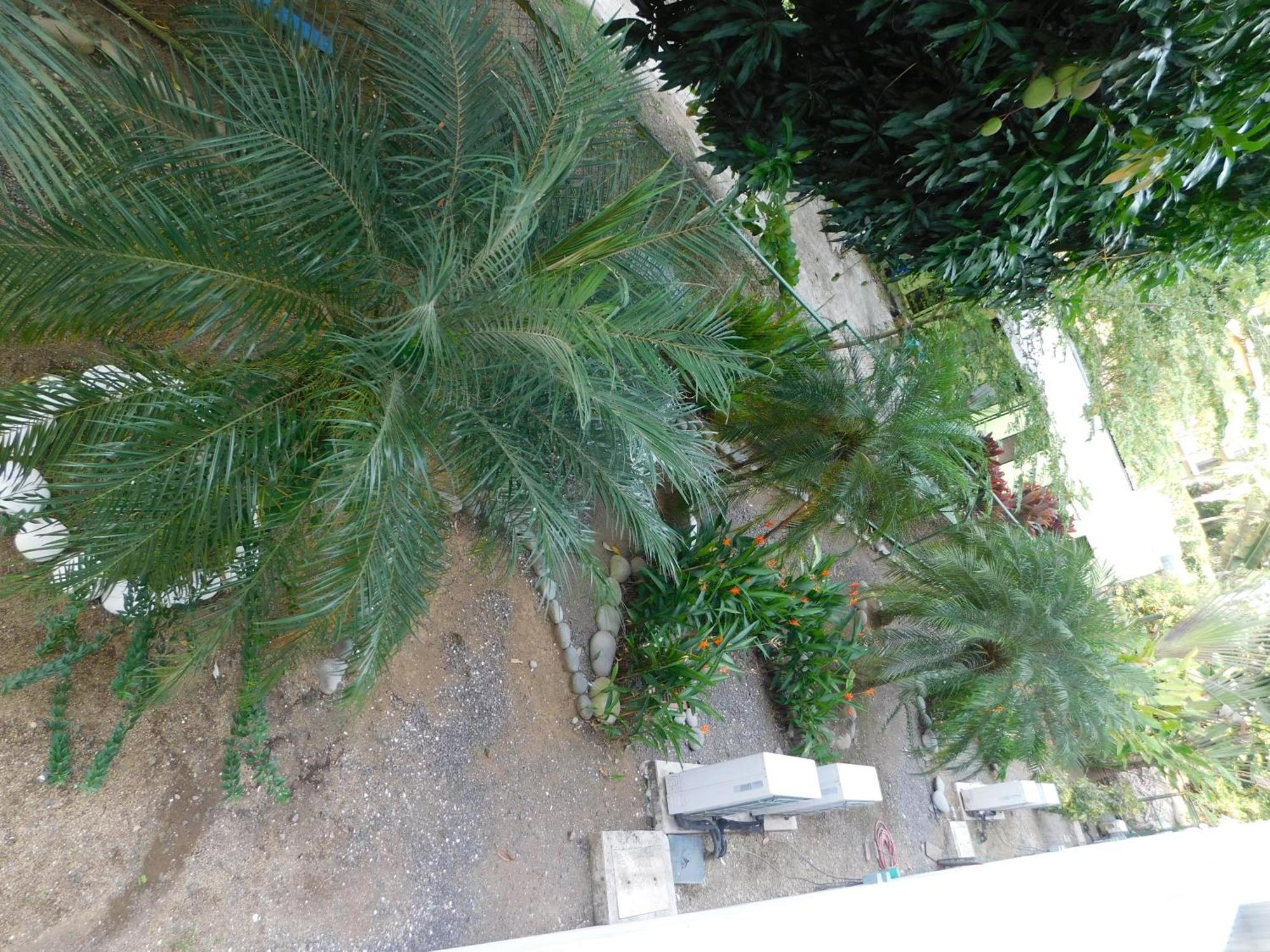 Sunset 205, Sleeps Six, Next Door To The Pool, 100M To The Beach! 哈科 外观 照片